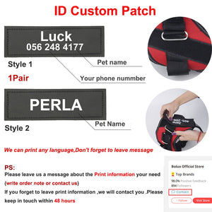 Personalized Dog Harness NO PULL